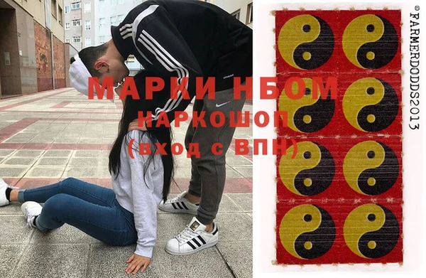 гашик Алексин